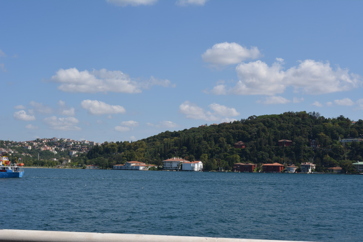 DSC-4769.jpg