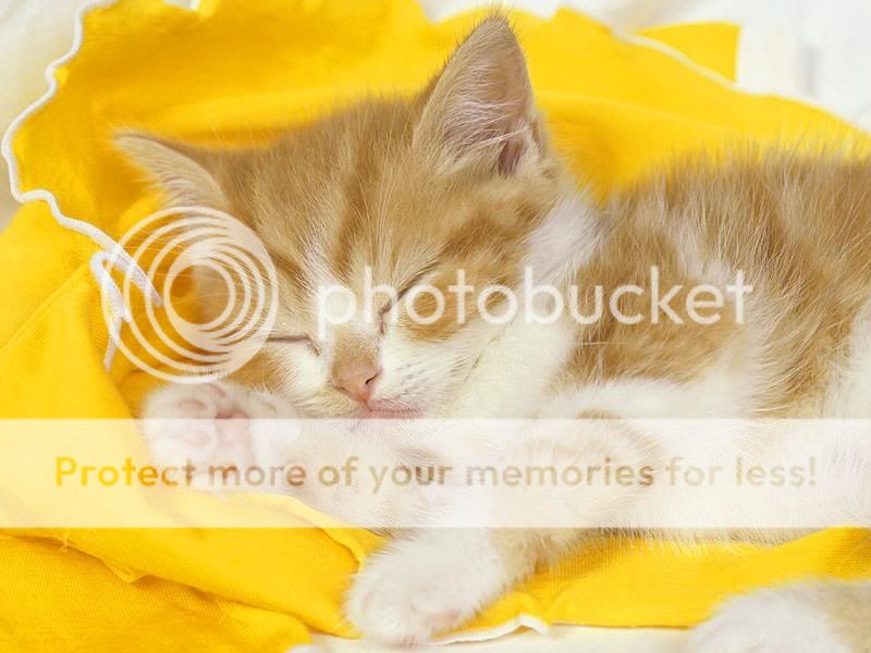 aed54001-7f29-4c3a-b5fe-38cf798e06b.jpg