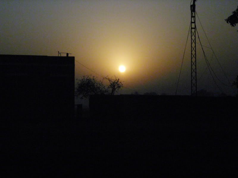 DSCI0023.jpg
