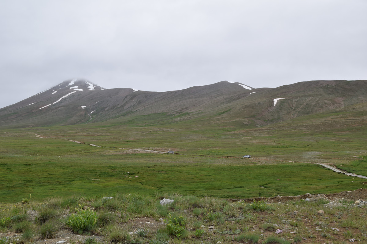 DSC-0628.jpg