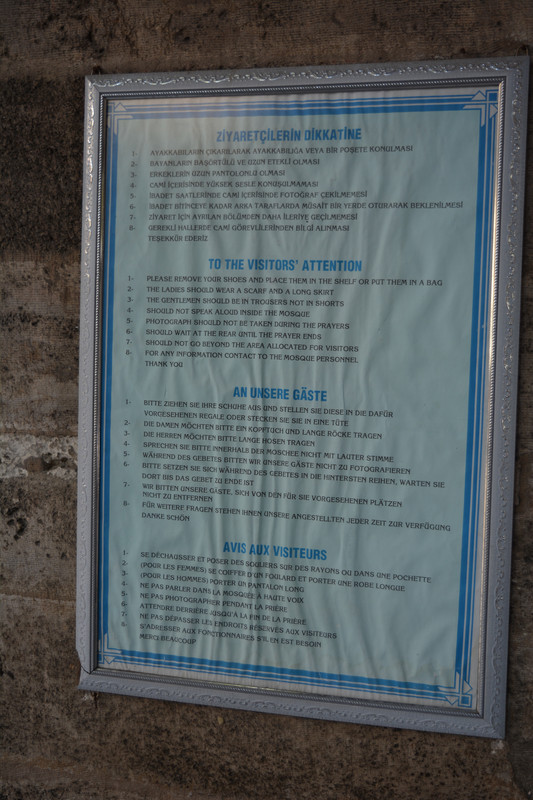 DSC-4514.jpg