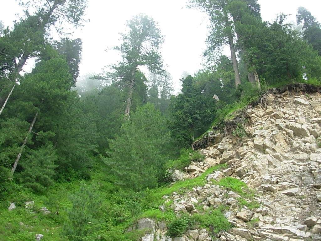 dscn5625_140.jpg