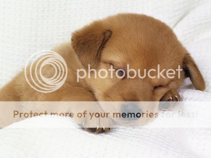 c9841d1b-1e7d-484a-a9ea-feb91b7bee3.jpg