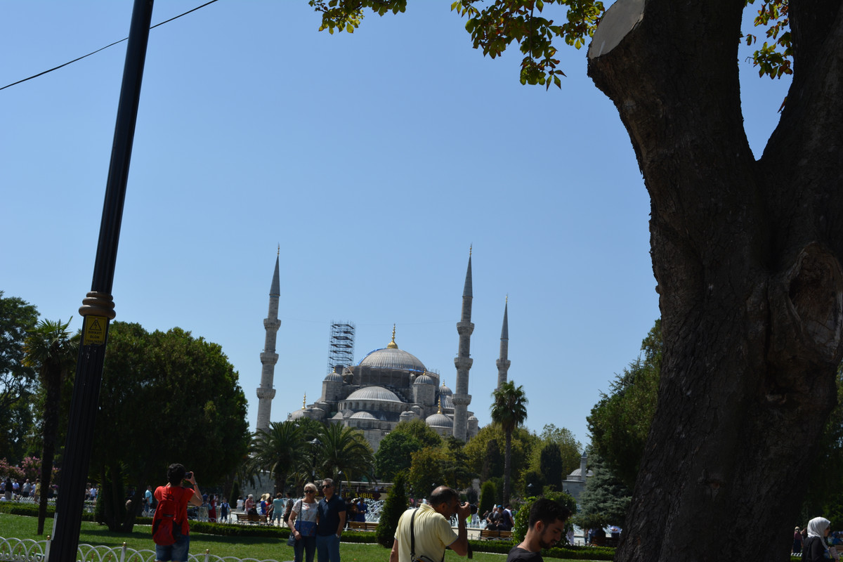 DSC-4650.jpg
