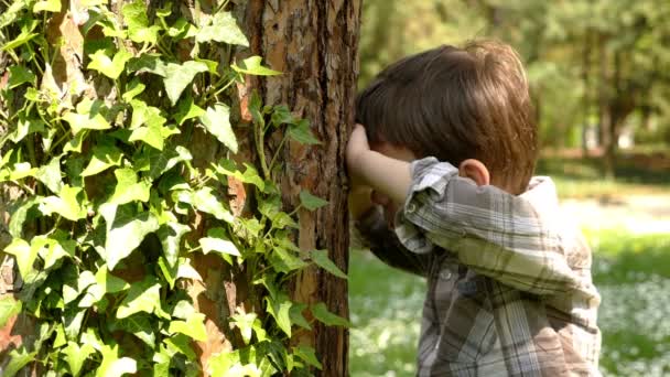 depositphotos_94918262-stock-video-a-little-boy-playing-hide.jpg