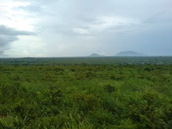 road-back-to-dar-tanzania-155165.JPG