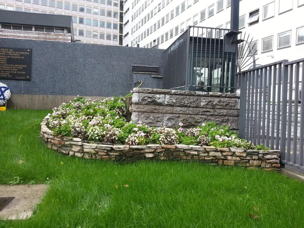 2012-11-03112536-1.jpg