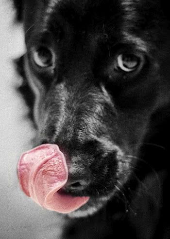 pinkby122.jpg