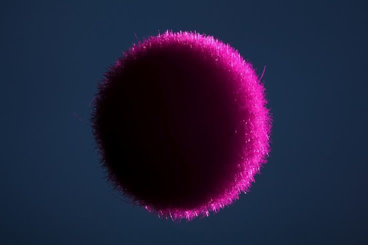pinkby062.jpg