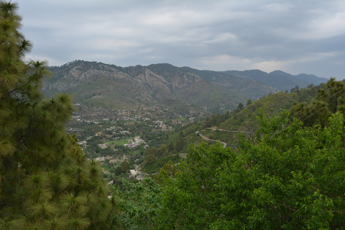 DSC-3088.jpg