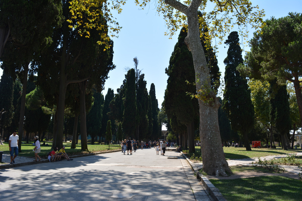 DSC-4218.jpg