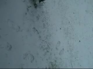 Movie002_0009.jpg