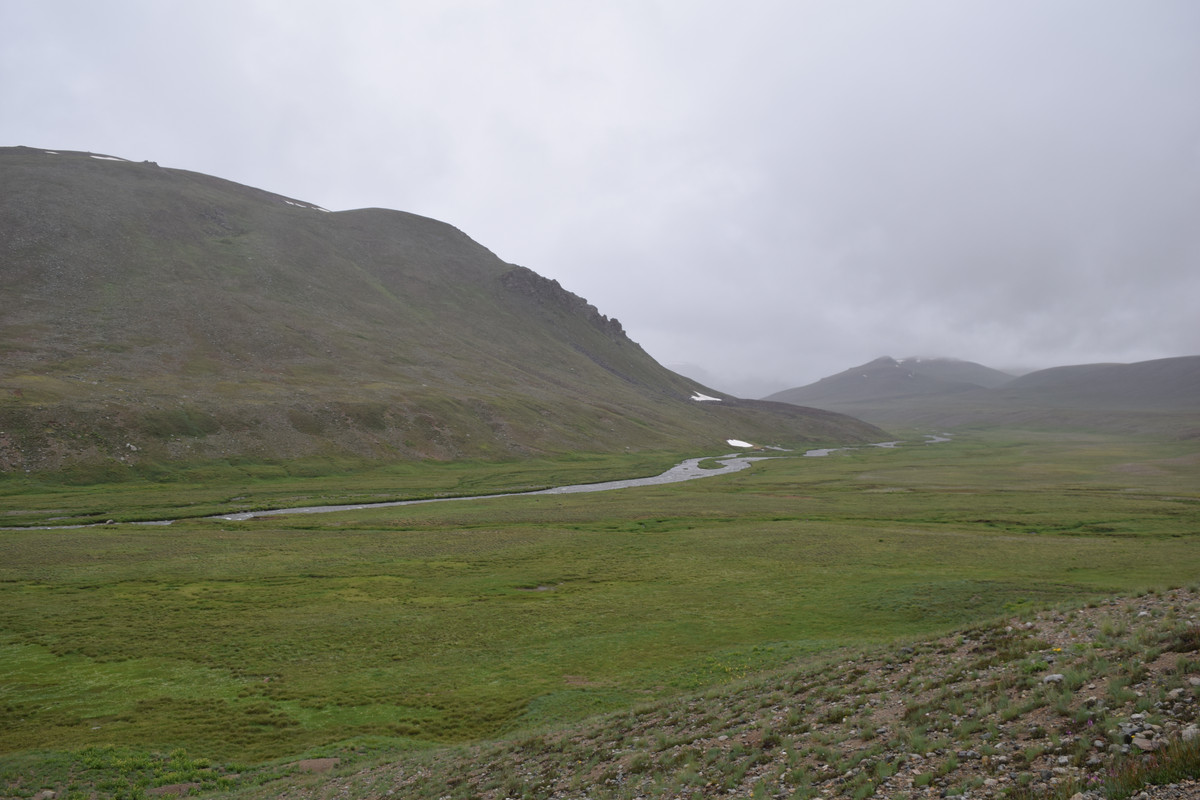 DSC-0702.jpg