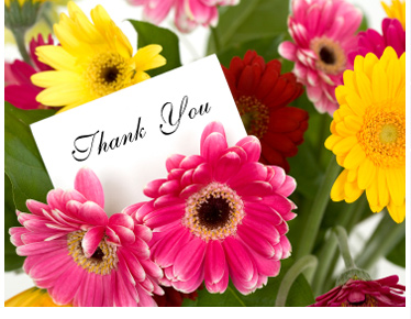 thank-you-image.jpg