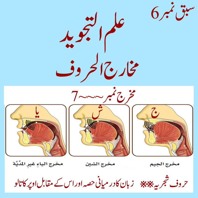 4402-DB6-B-F023-4-AE7-B661-333-D493-EA9-D7.jpg