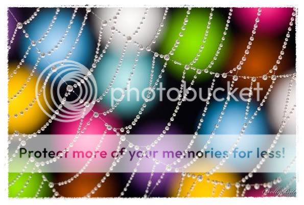 colorful-photoz-03.jpg