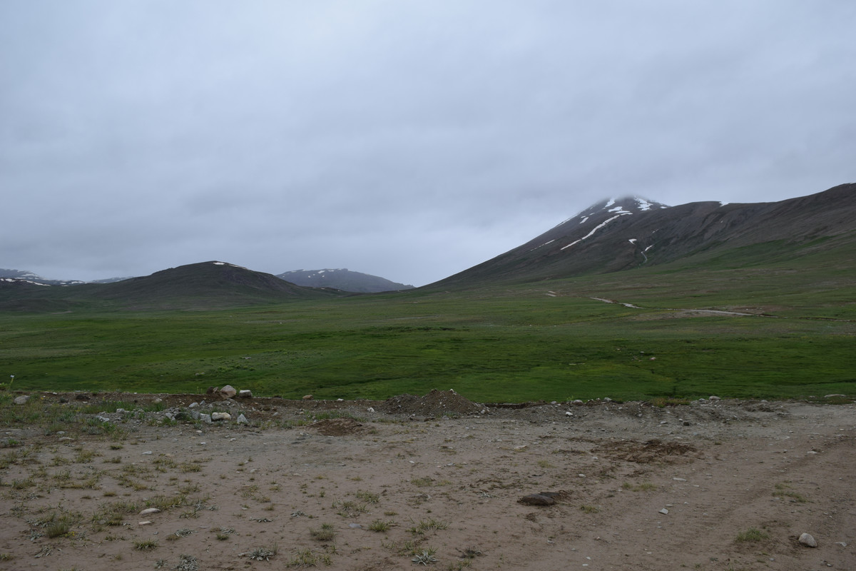 DSC-0609.jpg