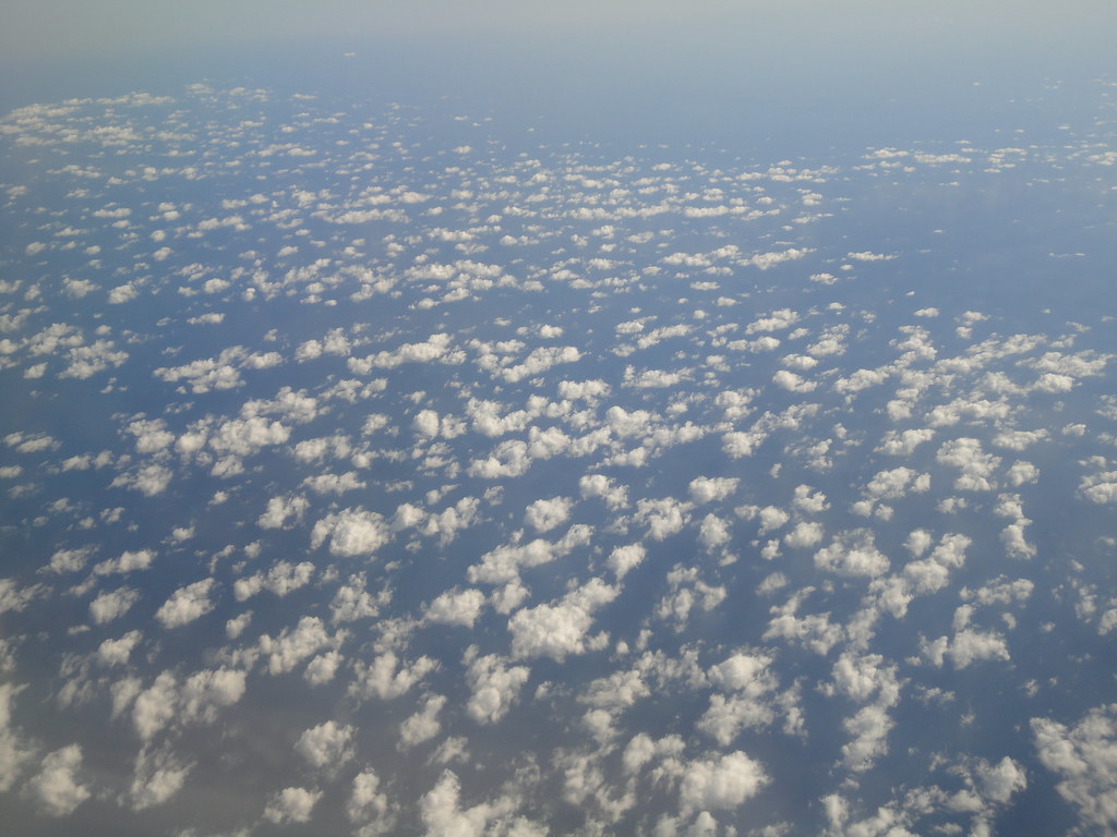 8578557651_5ee391efc1_b.jpg