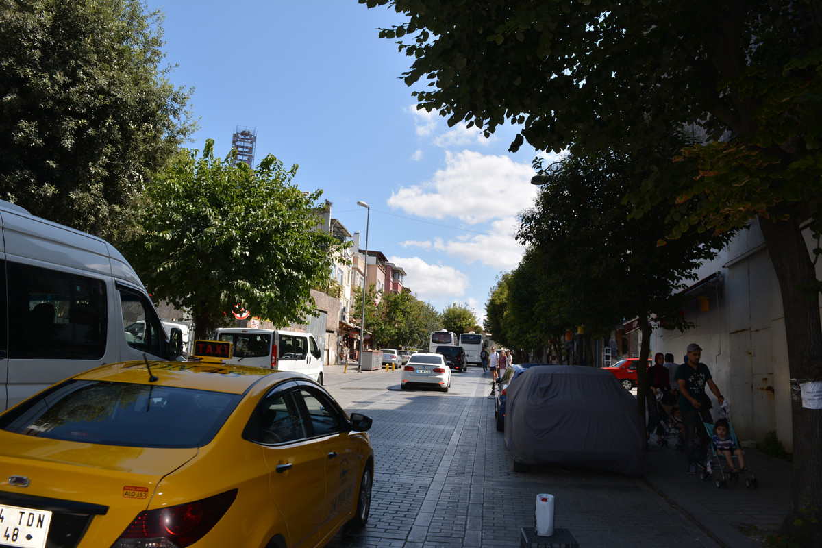 DSC-4558.jpg