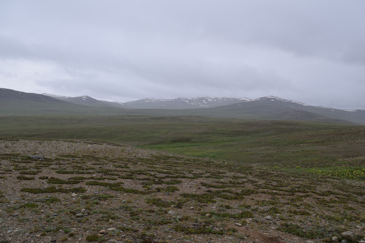 DSC-0743.jpg