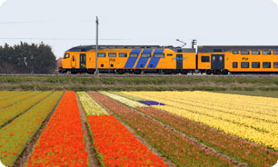 transport.jpg