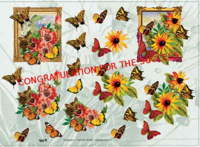 Congratulation.jpg