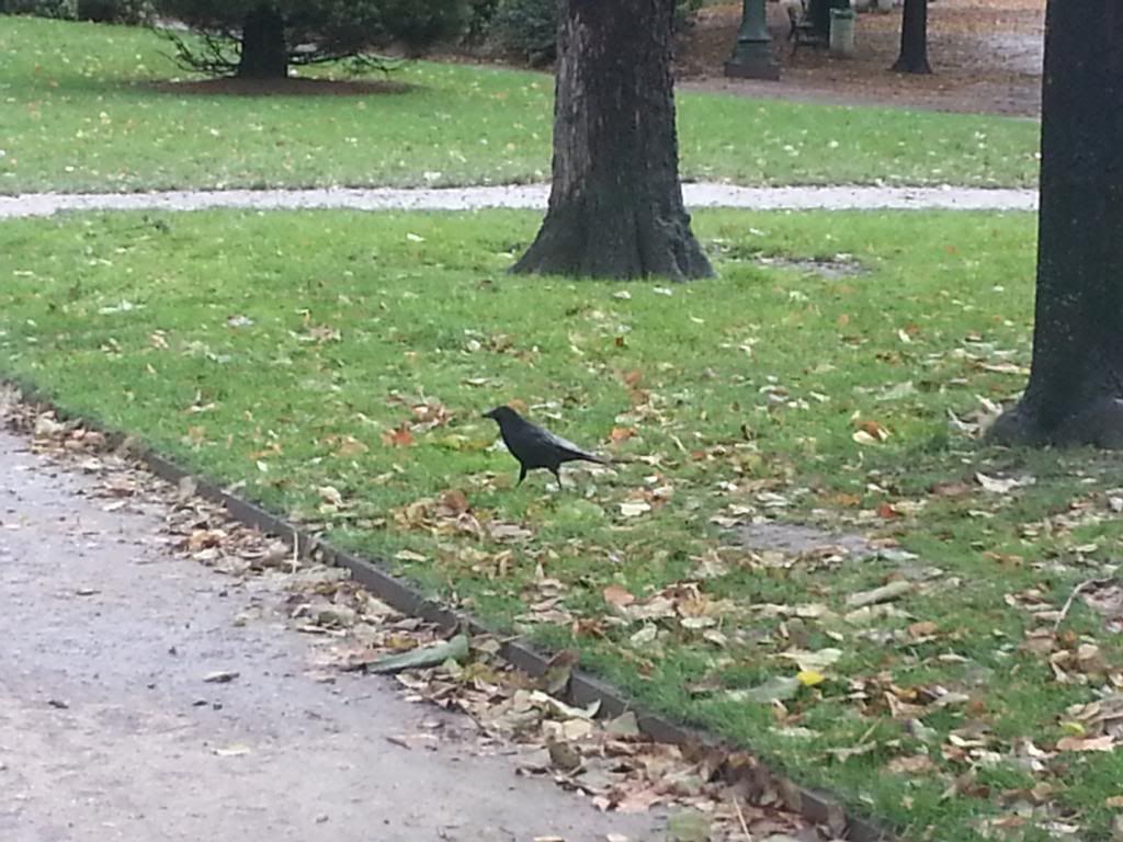2012-11-03105925.jpg