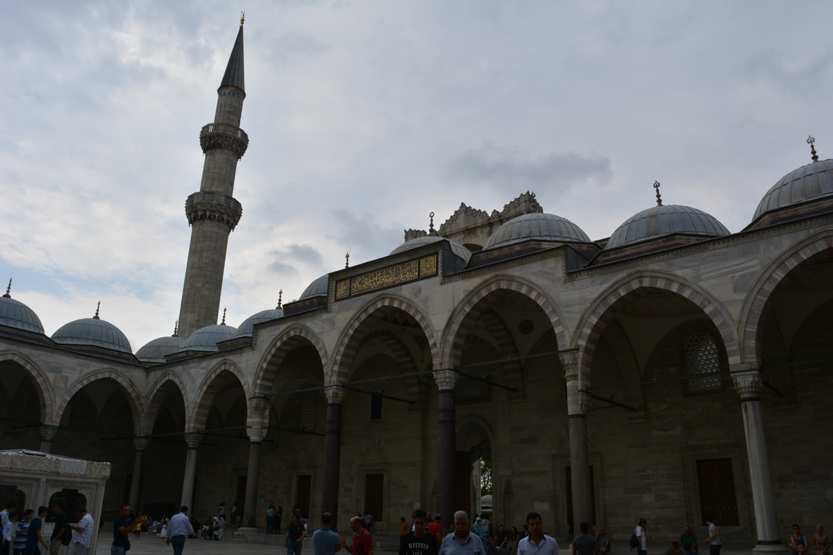 DSC-5875.jpg