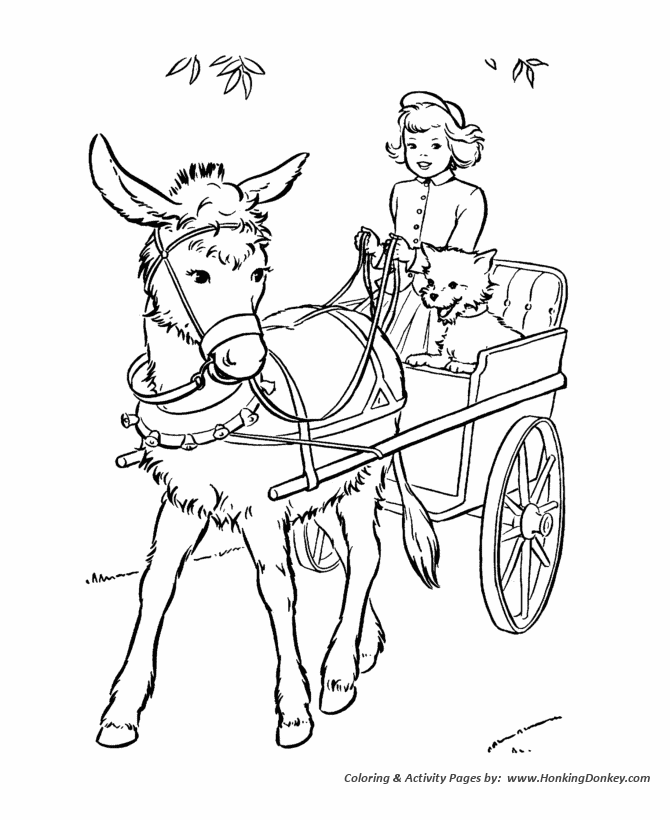 03-donkey-03.gif