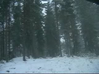Movie002_0008.jpg