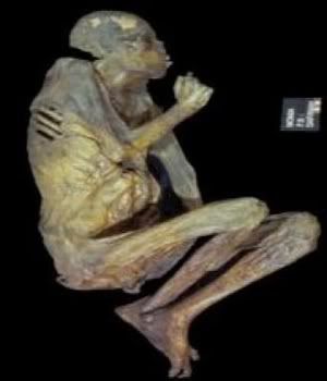 MUMMY2.jpg