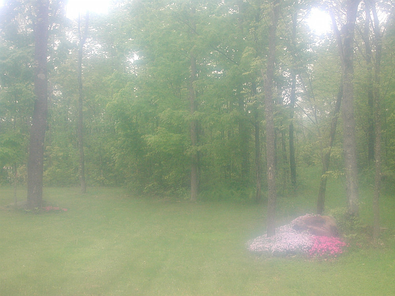 filter-fog-a-b.jpg
