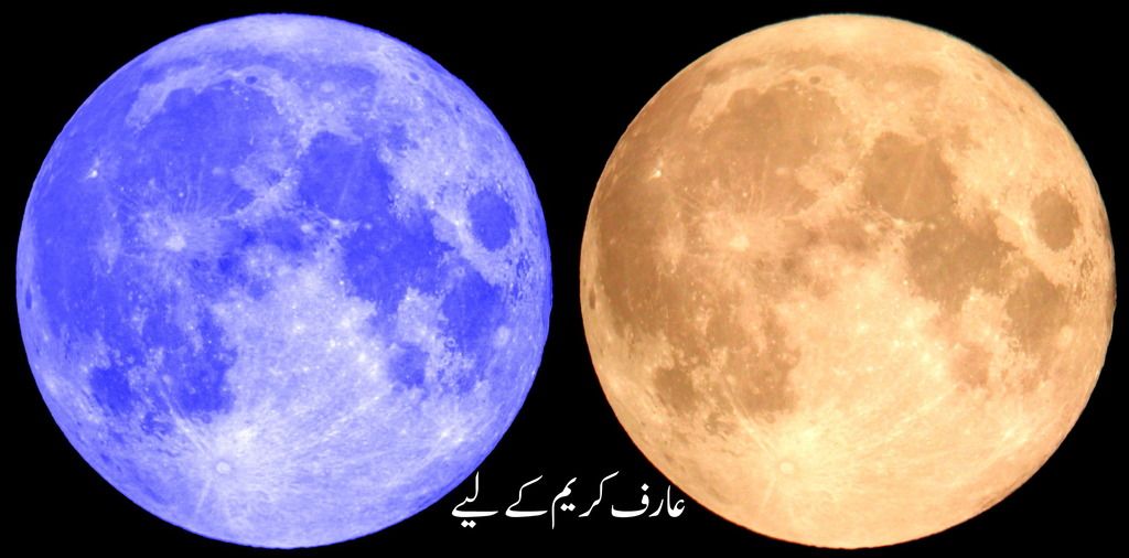 moon14day-1985c0.jpg
