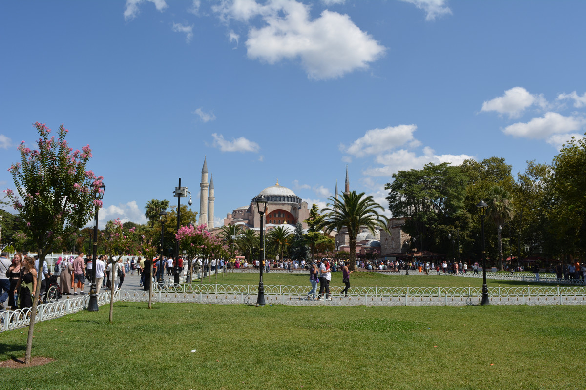 DSC-4638.jpg