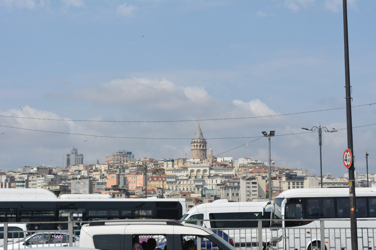 DSC-5952.jpg