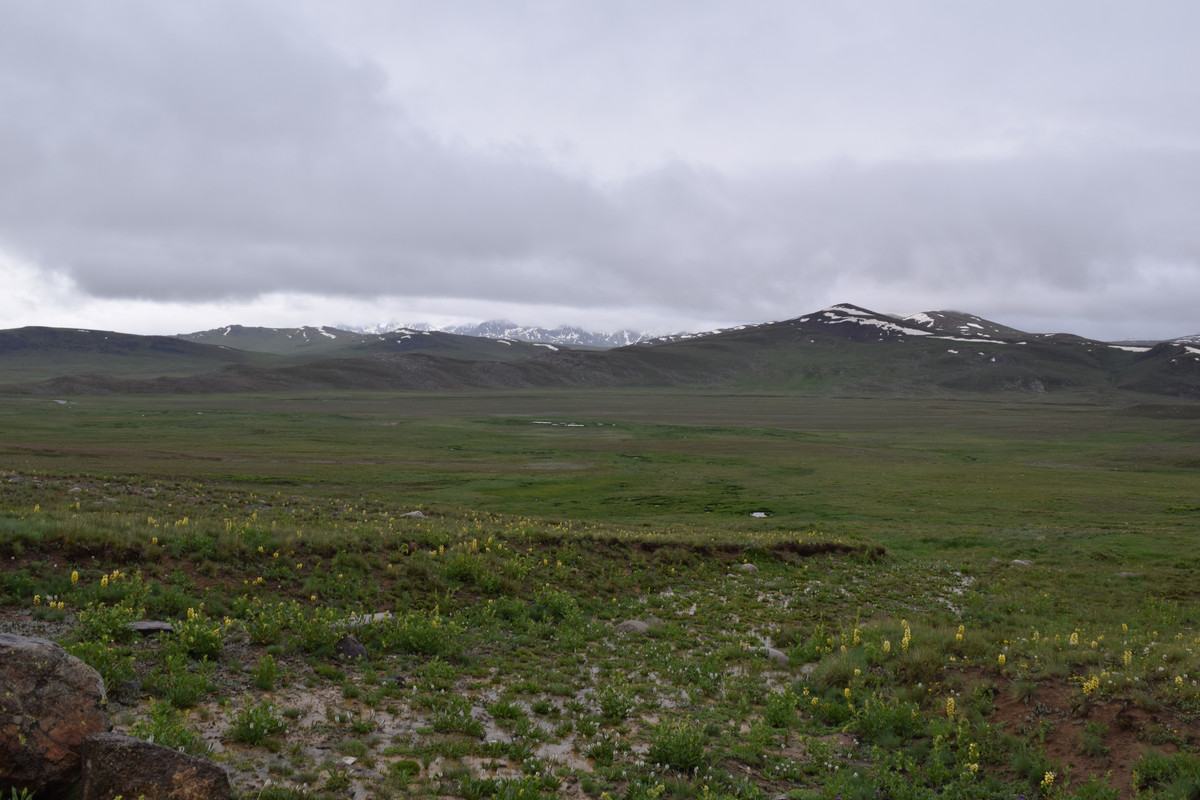 DSC-0783.jpg