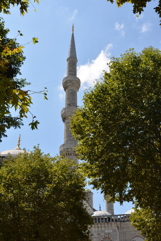 DSC-4628.jpg