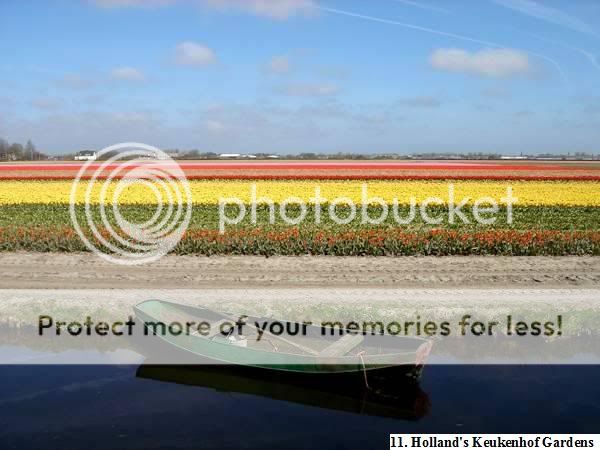 Picture23.jpg