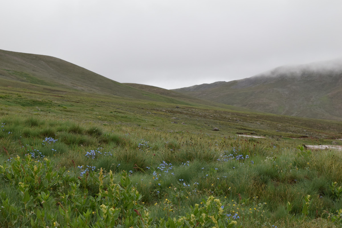 DSC-0814.jpg