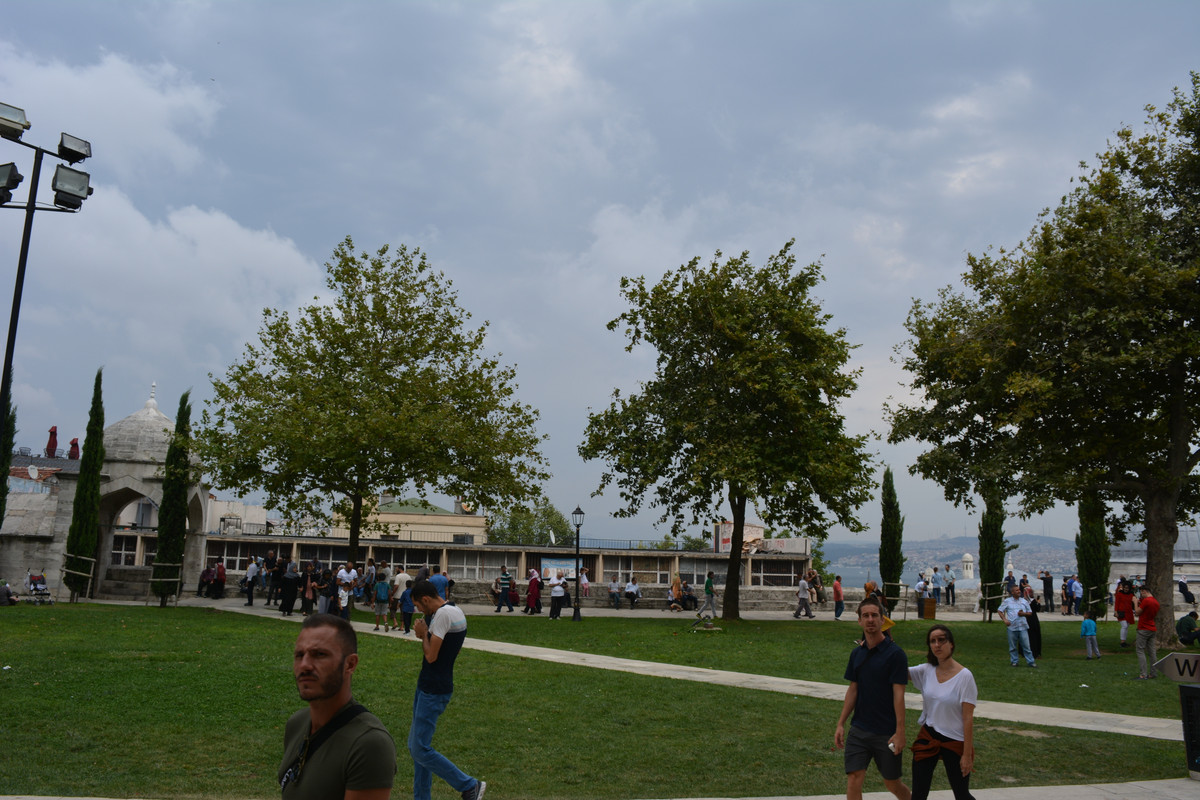DSC-5905.jpg