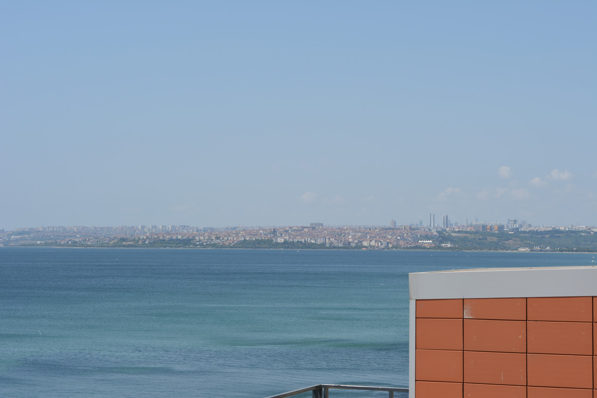 DSC-5554.jpg