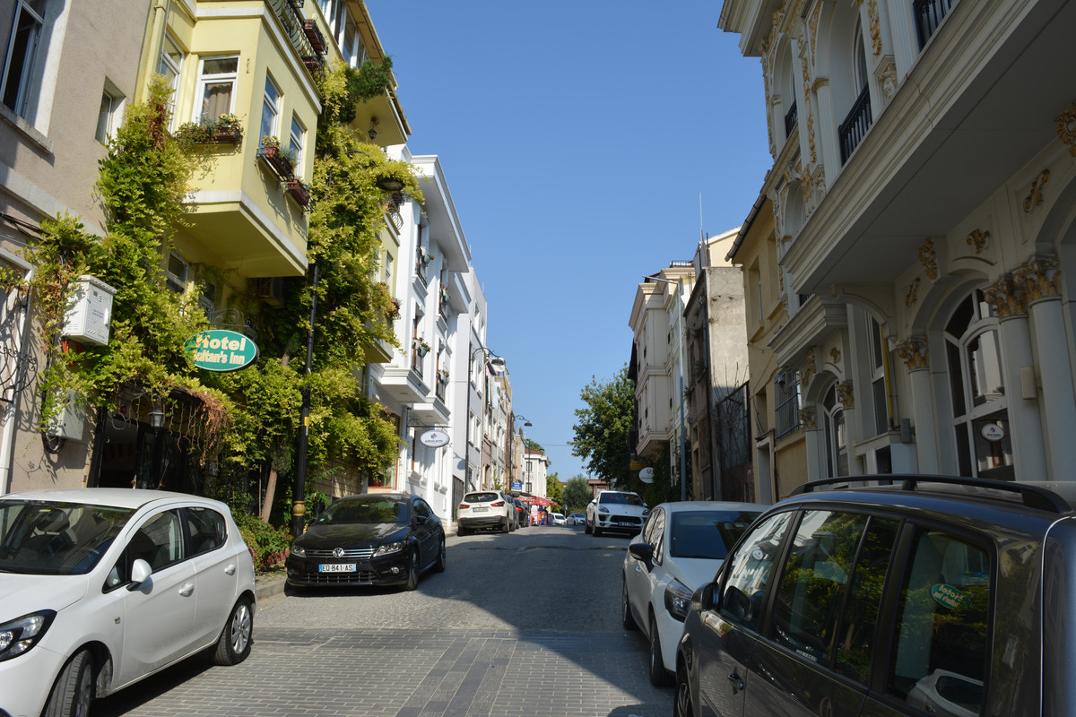 DSC-5984.jpg