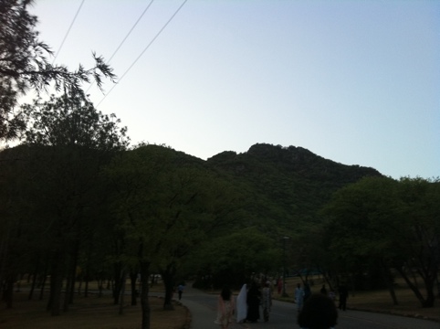 20110614-112128.jpg