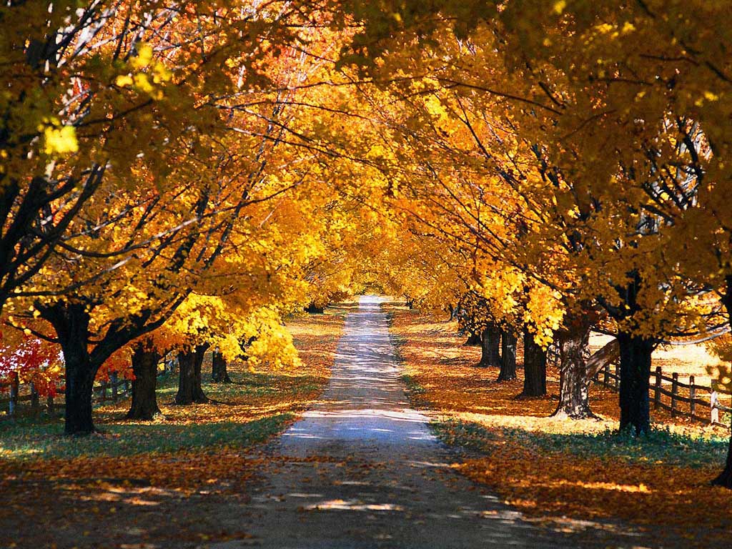 Autumn.jpg