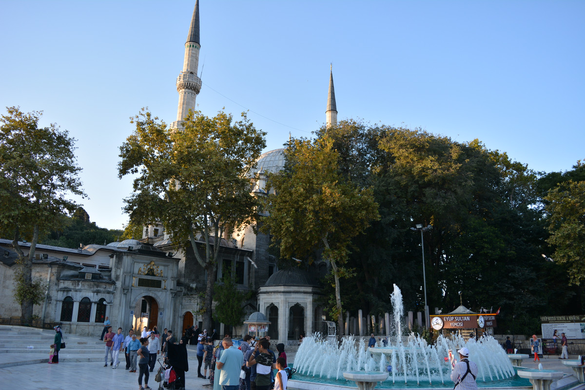 DSC-4544.jpg