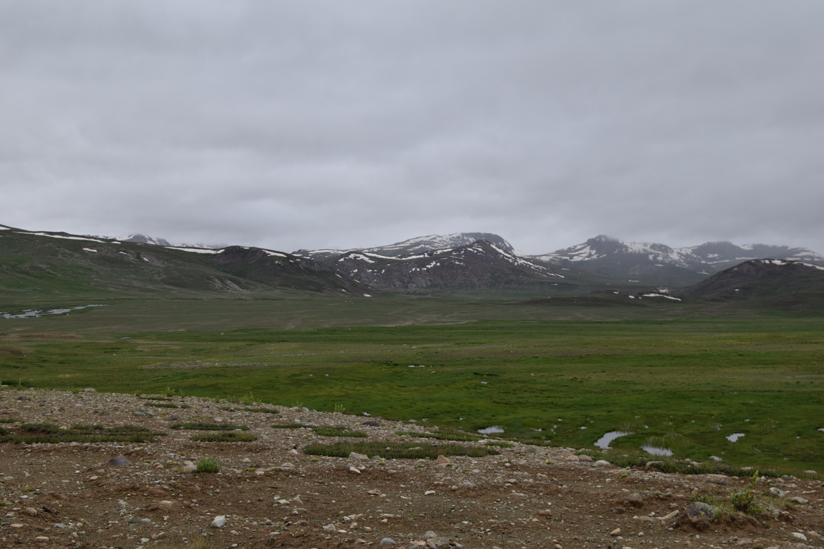 DSC-0627.jpg
