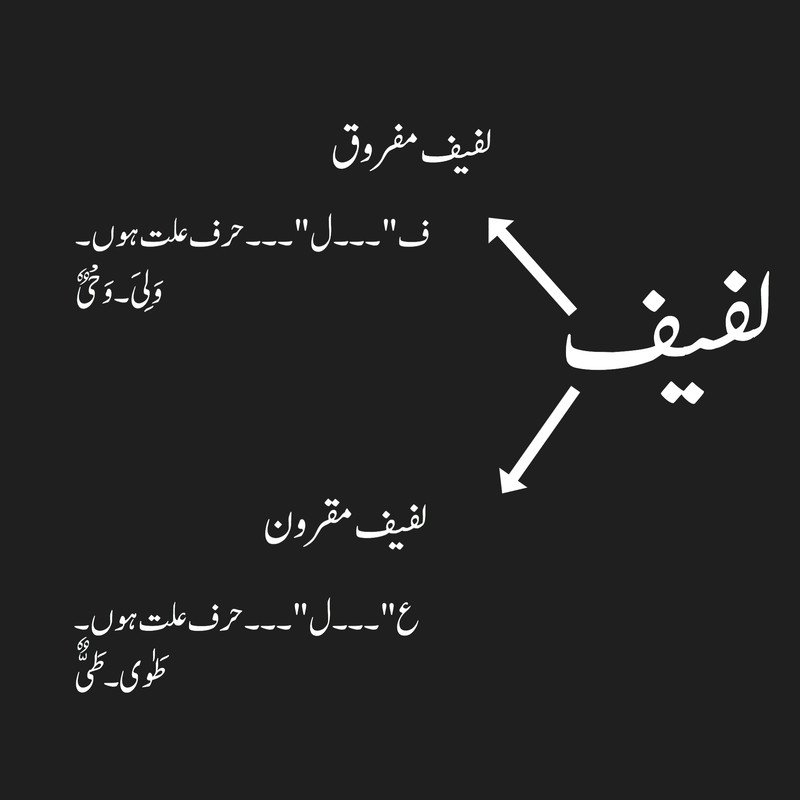27-AC2-ED5-F4-D2-4-E1-A-9-F07-373633-E7-A1-C8.jpg