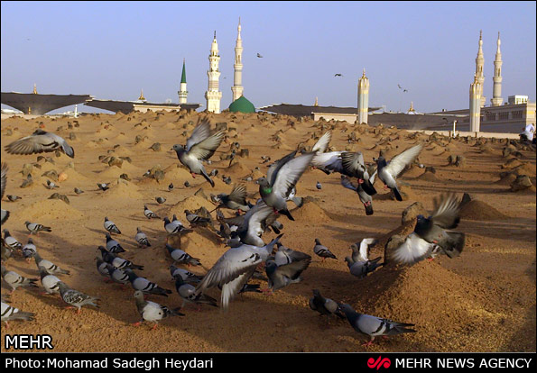 madina-in-mabath-day.jpg