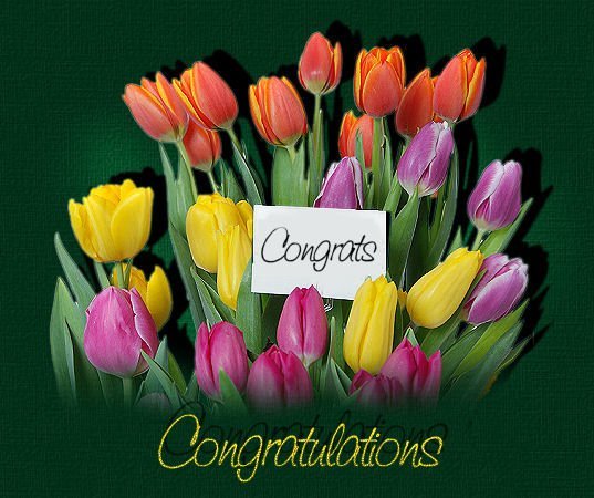 congratulationstop.jpg