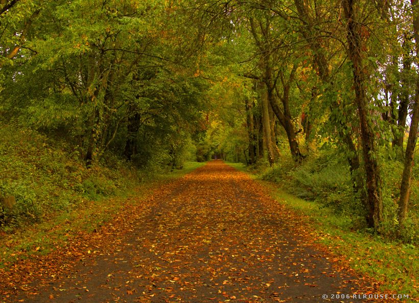 creeper-trail-fall.jpg